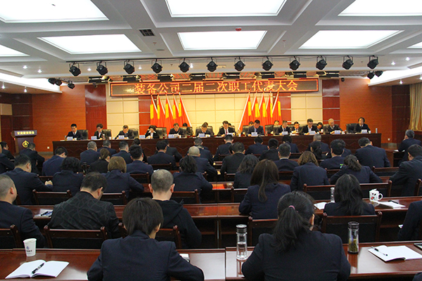 爱游戏体育(中国)官方网站-AYX SPORTS
装备公司召开二届二次职工代表大会