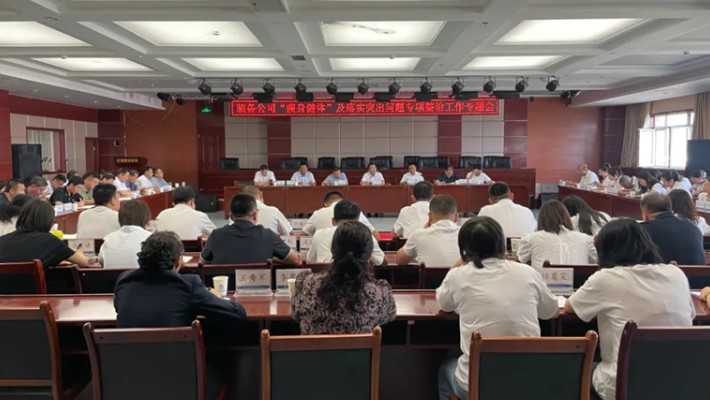 装备公司召开瘦身健体暨落实突出问题专项整治工作专题会